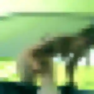 Assétou, fille de 34 ans cherche rencontre adulte à Brouckerque