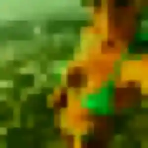 Tatu, 27 ans, connectée à Brumath pour une rencontre coquine