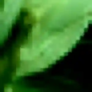 Rejoins Cindy, 45 ans à Burdignin gratuitement