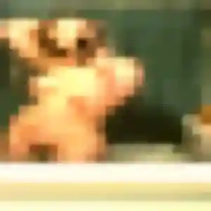 Photo sexy de Delphine, 41 ans à Burnhaupt-le-Haut - rencontre sans lendemain