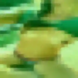 Photo exclusive de Esther, 32 ans à Busset - rencontre sans lendemain