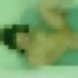 Charmante Gladys, 40 ans à Butten - voir sa photo