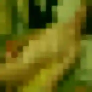 Rencontre Binta, 35 ans à Cadalen en privé