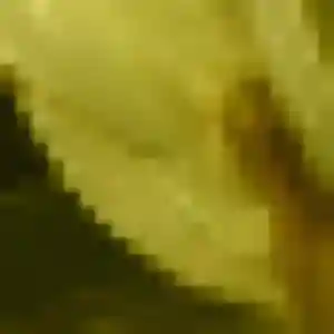 Daba de Caderousse, 29 ans - rencontre adulte discret