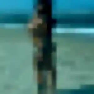 Esther, 28 ans, disponible à Cadours pour une rencontre coquine