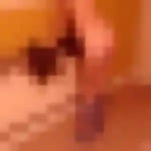 rencontre adulte à Cairanne : photo de Adeline, 35 ans - sans engagement
