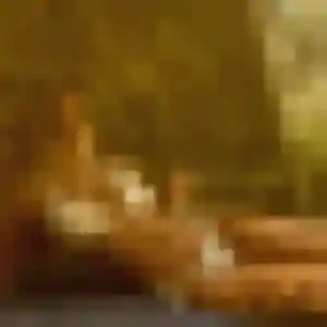 Arame (24 ans) à Caissargues cherche un rencontre adulte ce soir