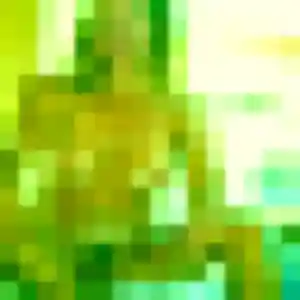 Rejoins Folake, 28 ans à Calleville en privé