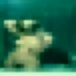Photo perso de Christelle, 36 ans à Canals - rencontre coquine