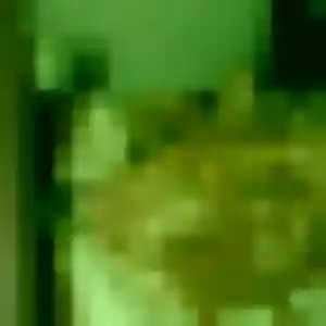 Esi, 24 ans, dispo pour rencontre adulte à Canteleu