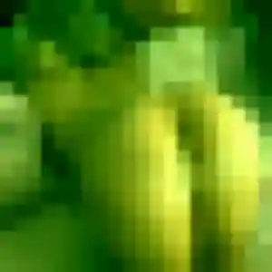 Pascaline de Caours, 35 ans - rencontre adulte discret