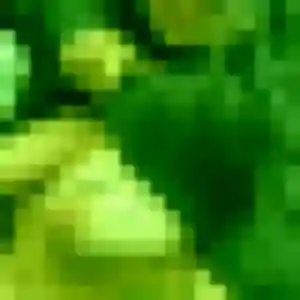 Stéphanie (29 ans) à Caours propose un rencontre adulte rapidement