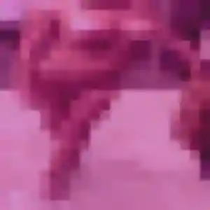 Photo perso de Astan, 28 ans à Capesterre-Belle-Eau - rencontre sans lendemain