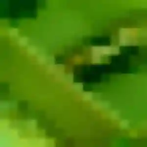 rencontre adulte à Casson : profil de Adja, 31 ans - accès libre