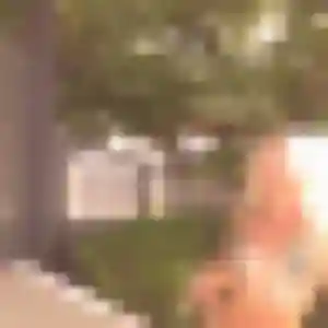 Issa, 34 ans, connectée à Castelnau-de-Lévis pour une rencontre coquine