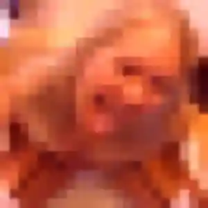 Belle Déla, 27 ans à Caurel - la contacter