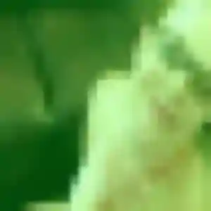 Bukola de Cavan, 22 ans - rencontre adulte sans lendemain