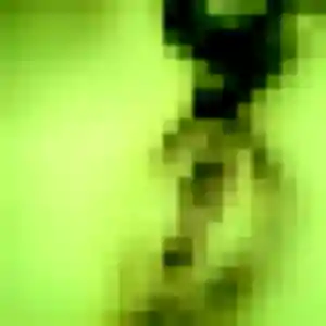 Photo perso de Dado, 34 ans à Celles - rencontre sans lendemain