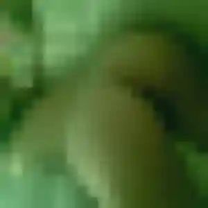 Profil de Stella à Cepoy (26 ans) - rencontre adulte discret