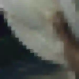 Amani, femme de 23 ans cherche rencontre adulte à Cerizay