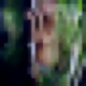 Photo privée de Ursule, 19 ans à Cessy - rencontre coquine