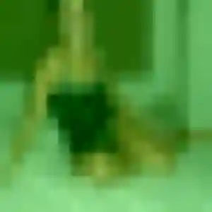 Omolara, 36 ans, cherche un rencontre adulte à Cestas