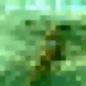 Découvre Constance, 27 ans à Cézac en t'inscrivant