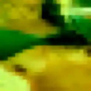 rencontre adulte à Chabreloche : photo de Brigitte, 41 ans - sans engagement