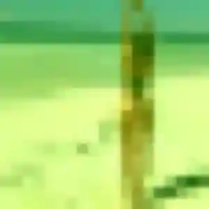 Binta, 38 ans, cherche un rencontre adulte à Chaillac