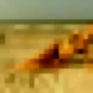 Yetunde de Chalabre, 21 ans - rencontre adulte discret