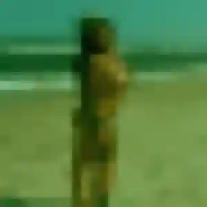 Photo de Neema à Chalain-d'Uzore (36 ans) - rencontre adulte discret