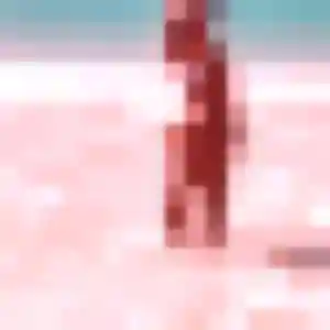 Charmante Monique, 41 ans à Chalandray - voir sa photo