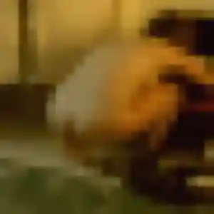 Rencontre Prisca, 33 ans à Chalifert gratuitement