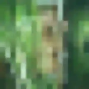 Aurore, 21 ans, disponible à Chambois pour un rencontre adulte