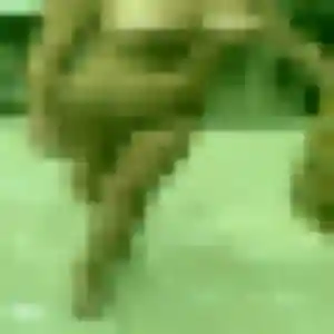 rencontre adulte à Champeaux : photo de Funke, 20 ans - accès libre