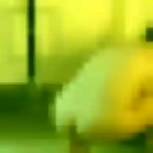 Maéva, 44 ans, disponible à Champhol pour un rencontre adulte