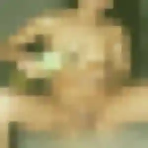 Photo de Bousso à Champvert (32 ans) - rencontre adulte sans inscription