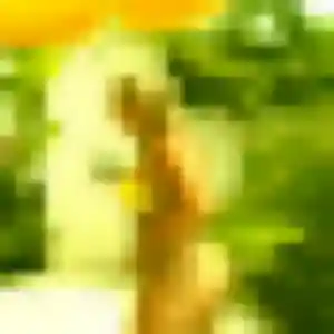 Fama, fille de 23 ans propose rencontre adulte à Chanas