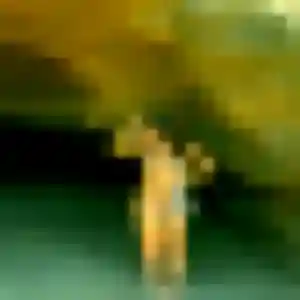 Photo de Claudine à Chançay (33 ans) - rencontre adulte sans inscription