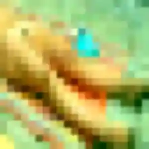 Aya, 32 ans, cherche un rencontre adulte à Chandon