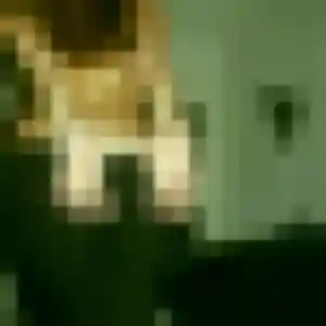 Joy, 27 ans, cherche un rencontre adulte à Changy