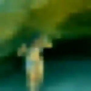 Photo privée de Ebele, 32 ans à Chanteau - plan discret