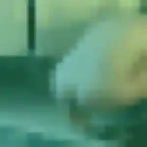 Profil de Chiamaka à Chaource (28 ans) - rencontre adulte anonyme