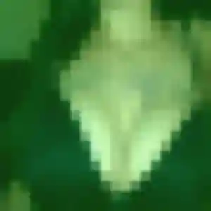 Rencontre Ruth, 29 ans à Chapet en t'inscrivant