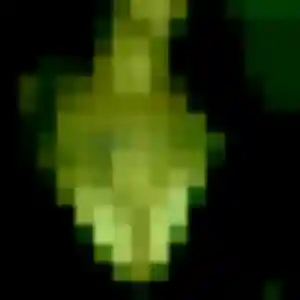 Thalia de Chaptelat, 26 ans - rencontre adulte sans prise de tête