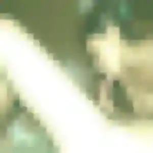 Photo perso de Patience, 22 ans à Charantonnay - rencontre coquine