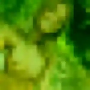 Muthoni, 33 ans, connectée à Charlieu pour une rencontre coquine