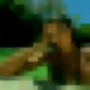 Daphné de Charmeil, 39 ans - rencontre adulte en toute liberté