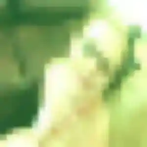 Charmante Olive, 20 ans à Charnas - la contacter