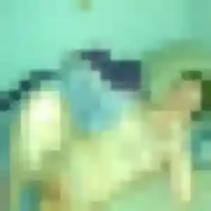 Adeola, 30 ans, en ligne à Charrin pour une rencontre coquine